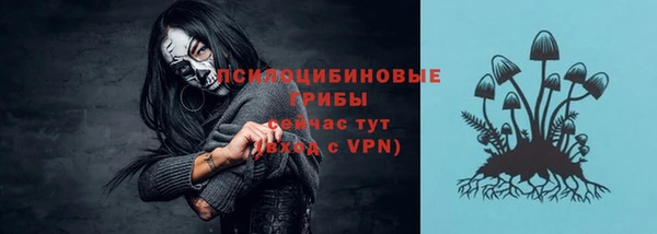 индика Арсеньев