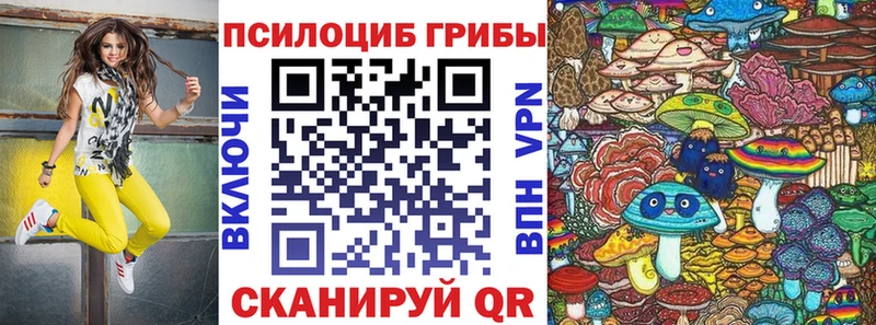 Псилоцибиновые грибы GOLDEN TEACHER  где продают   Карабаново 